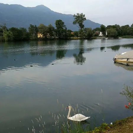 Laurus Ivan Dubino